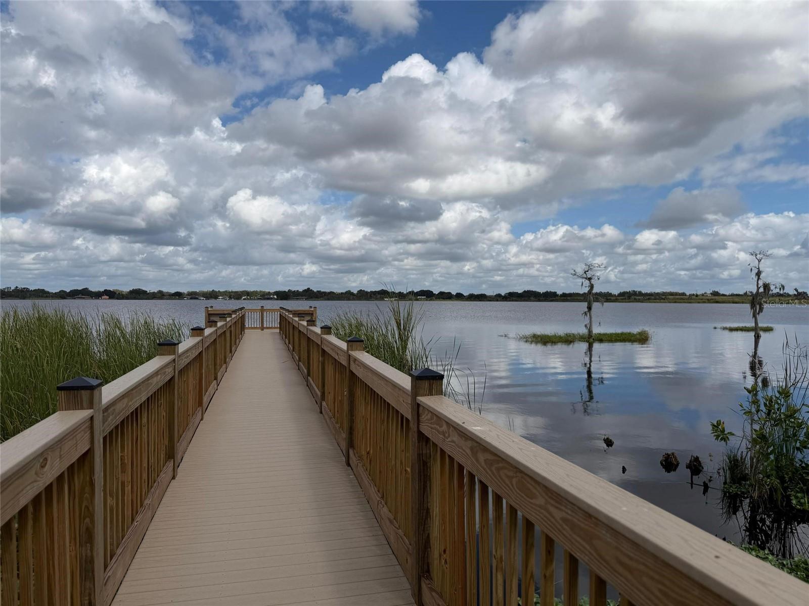 3484 CHINOTTO DRIVE, LAKE ALFRED, FL, 33850