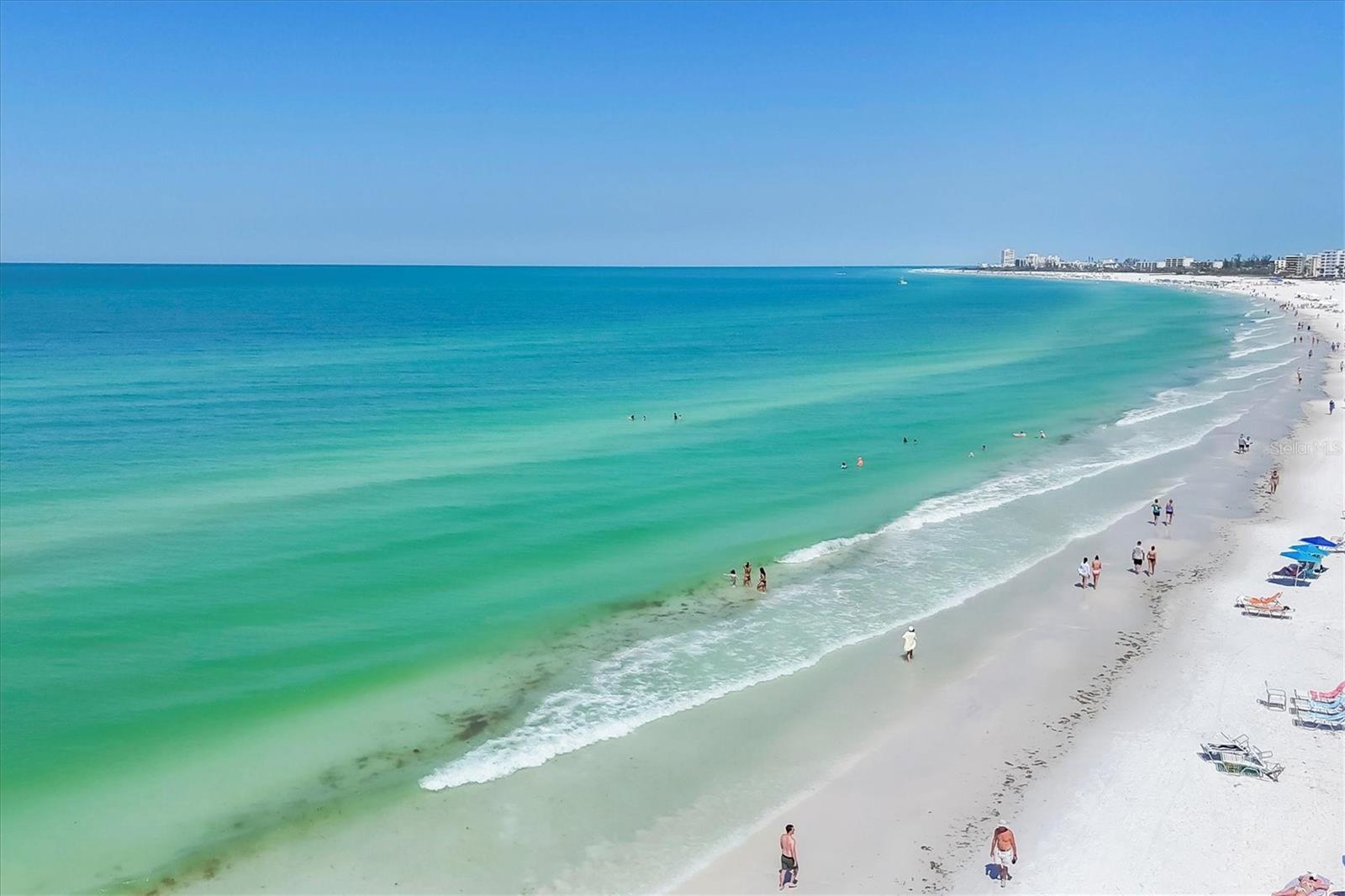 1250 N PORTOFINO DR #303, SARASOTA, FL, 34242