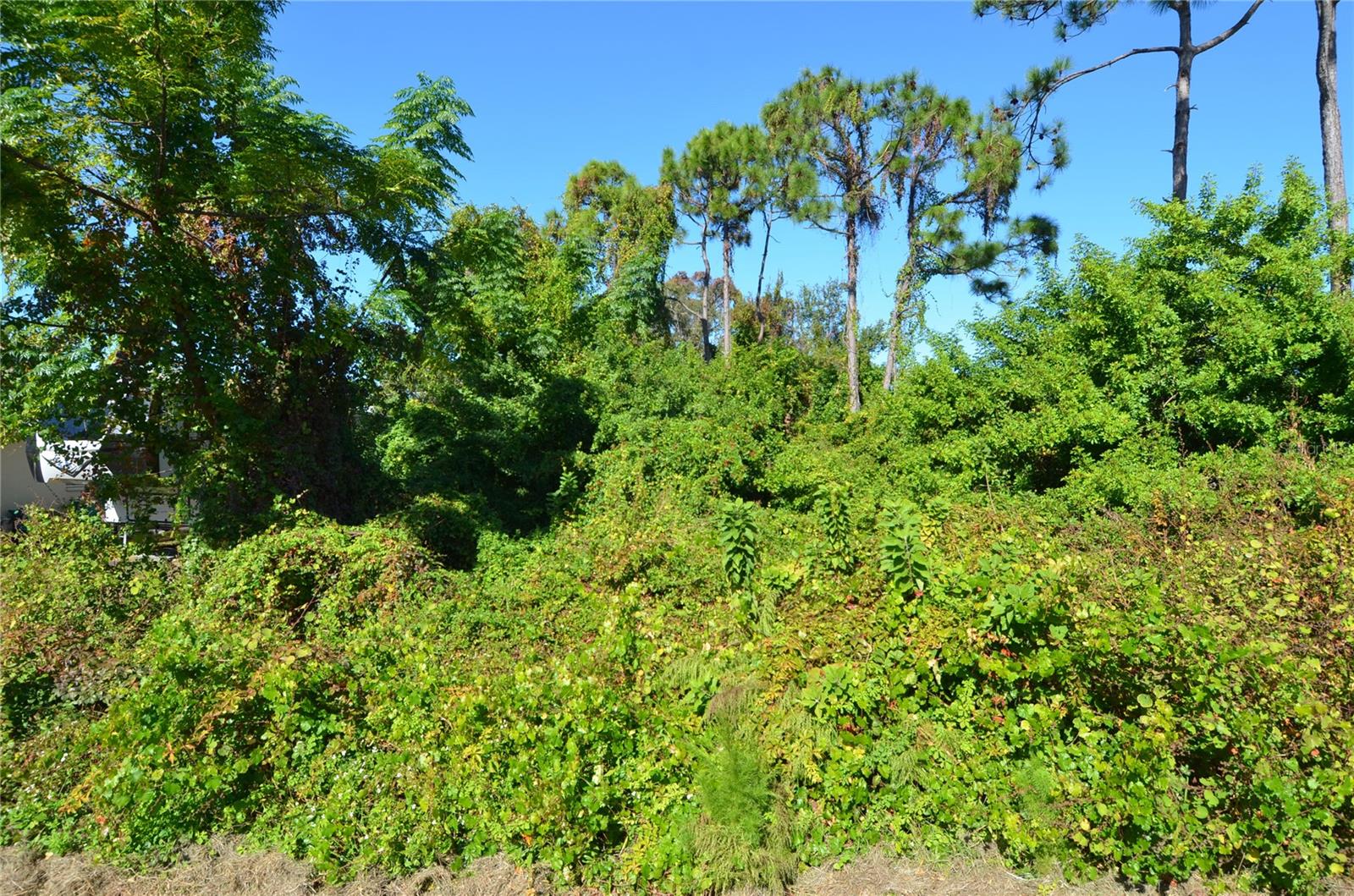 0 CABANA RD, VENICE, FL, 34293