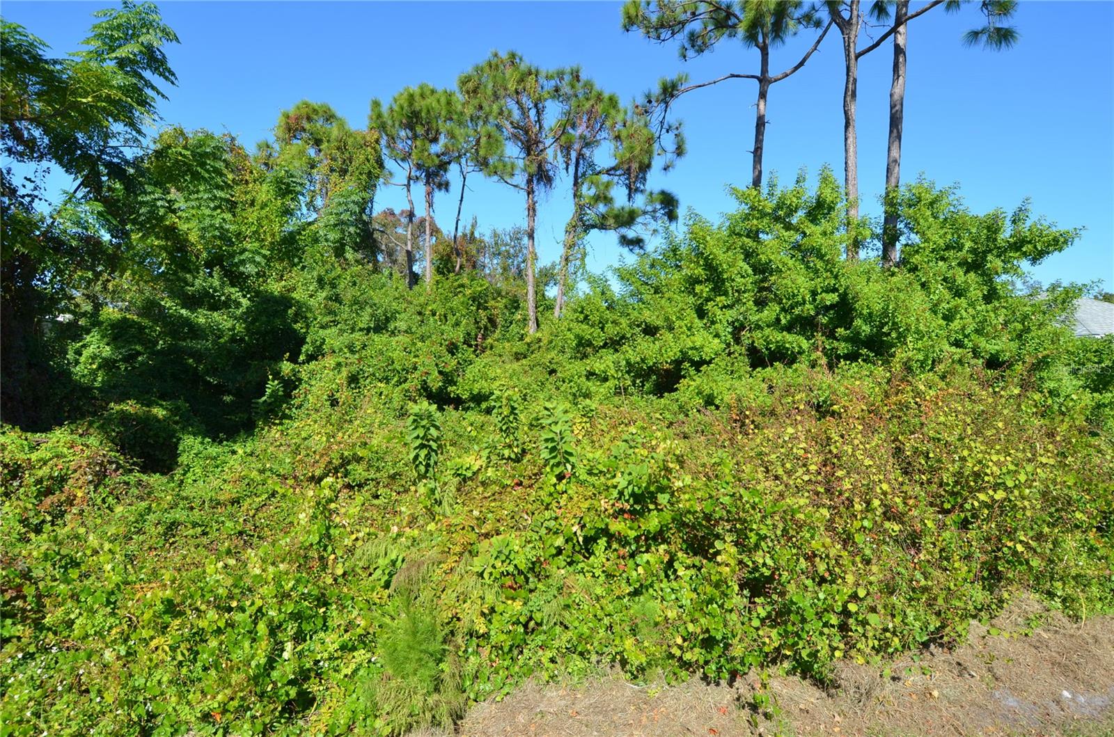 0 CABANA RD, VENICE, FL, 34293