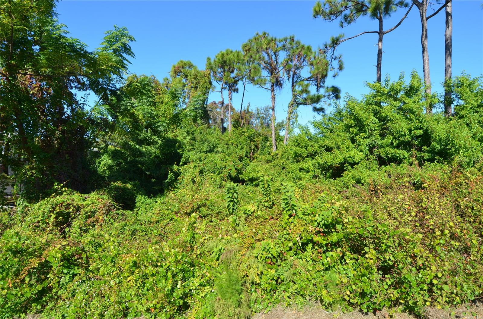 0 CABANA RD, VENICE, FL, 34293