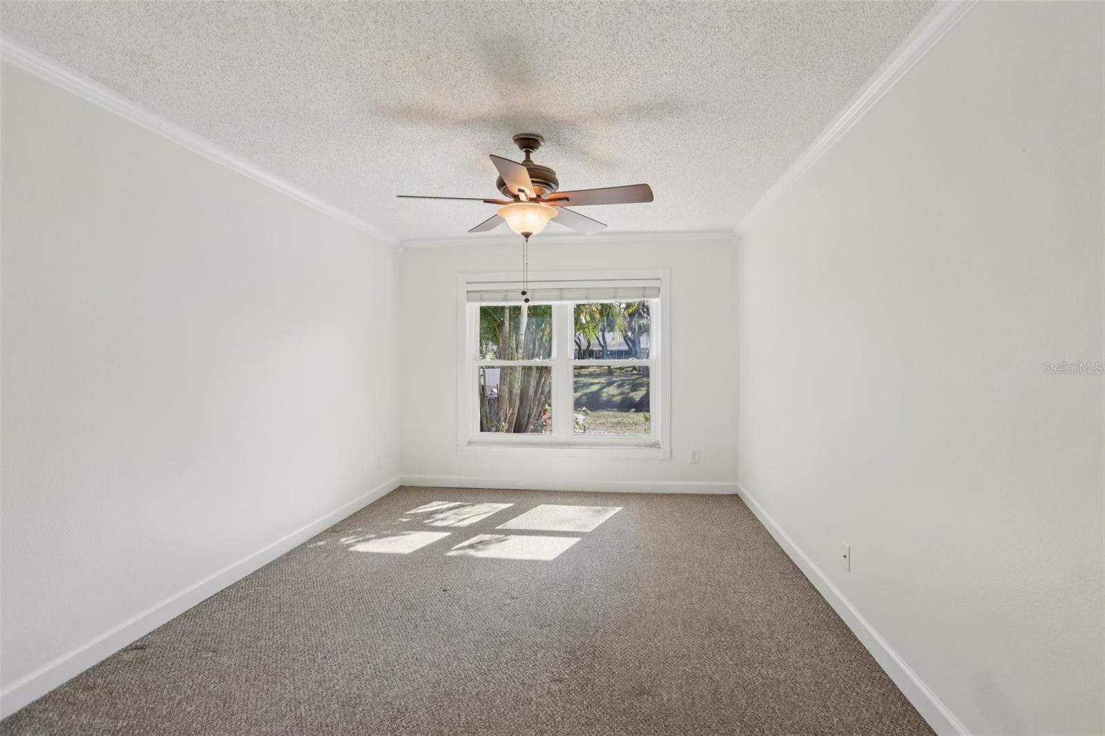 348 SALEM ST, SAFETY HARBOR, FL, 34695