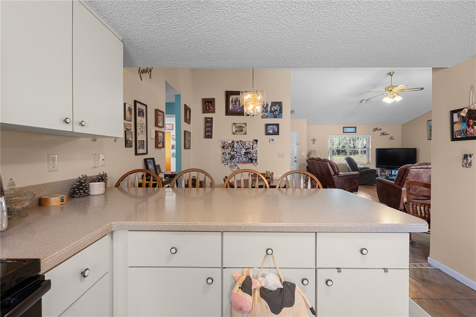 11704 BUR MAC RD, DADE CITY, FL, 33525