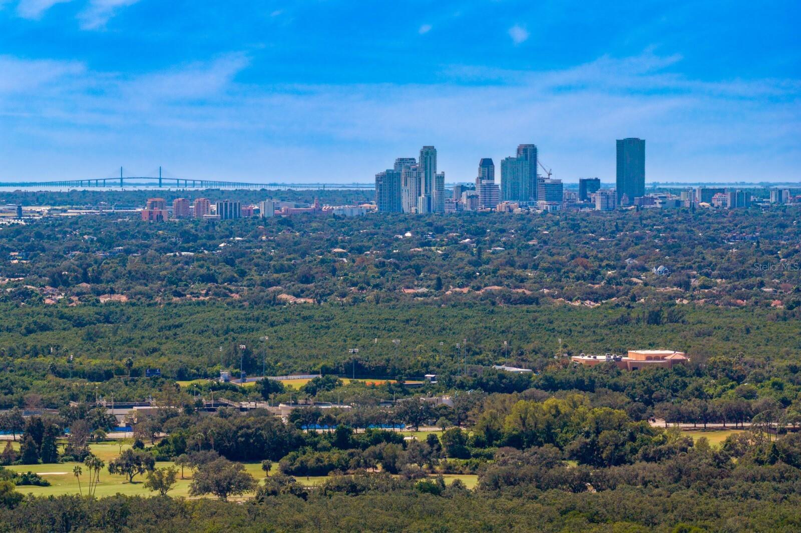 1501 75TH CIR NE, ST PETERSBURG, FL, 33702