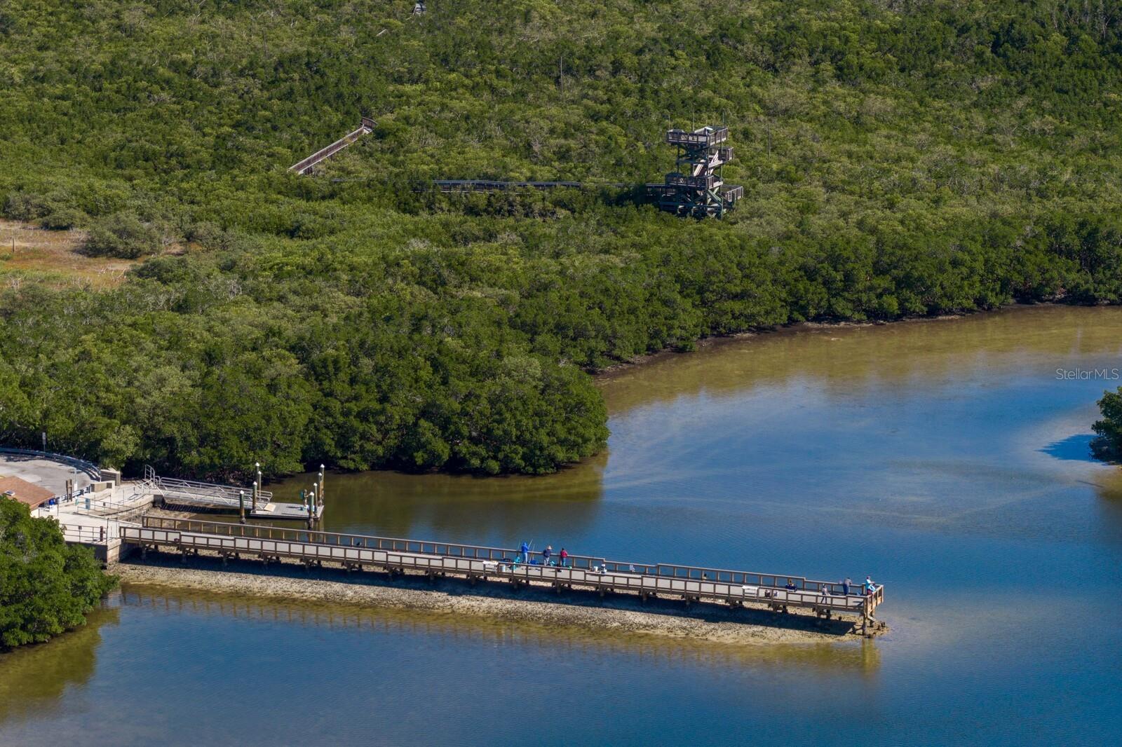 1501 75TH CIR NE, ST PETERSBURG, FL, 33702