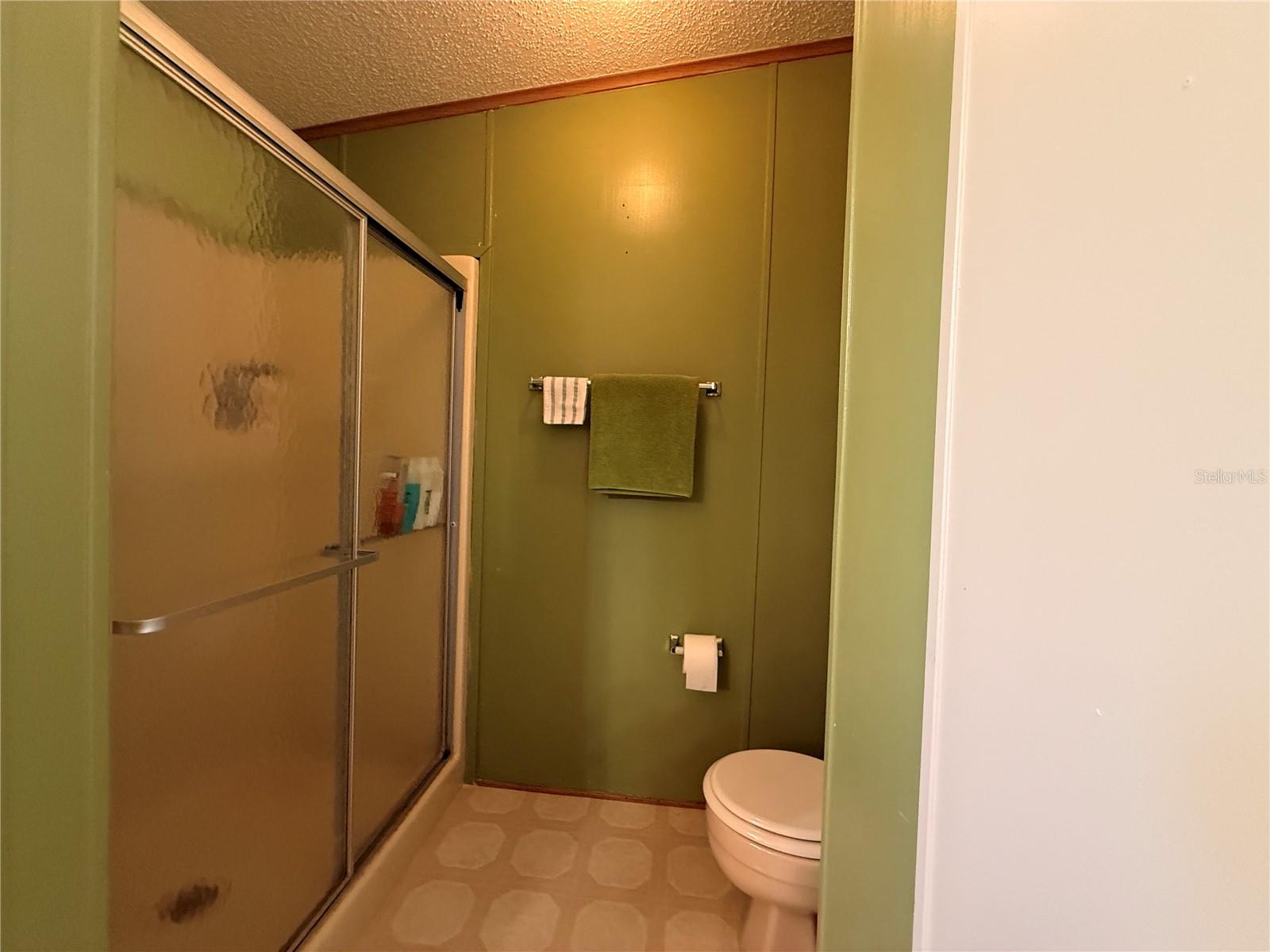 3141 GREAT OAK ST, WESLEY CHAPEL, FL, 33543