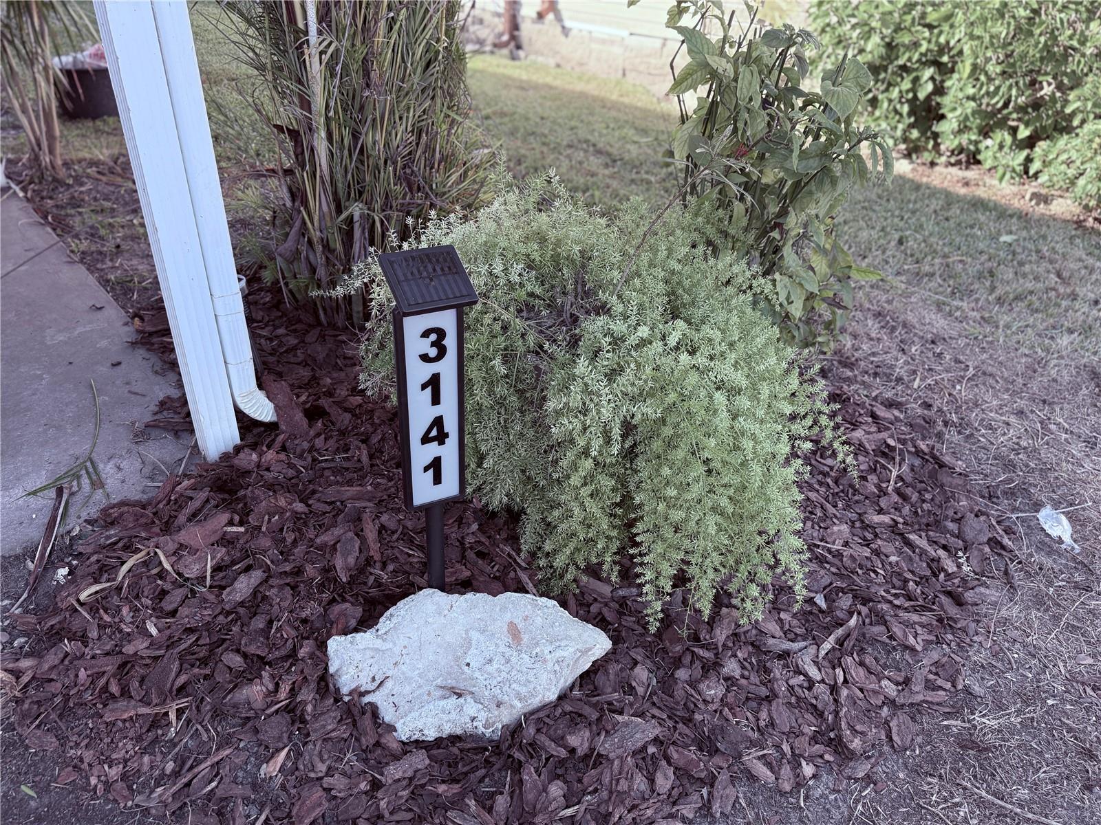 3141 GREAT OAK ST, WESLEY CHAPEL, FL, 33543