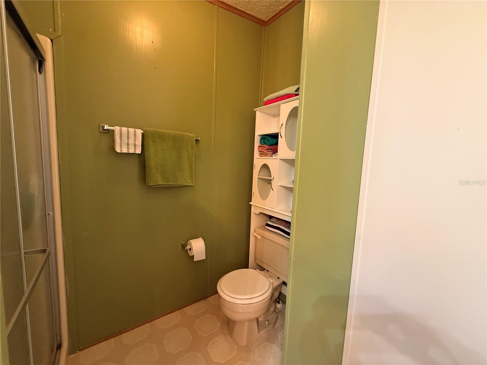 3141 GREAT OAK ST, WESLEY CHAPEL, FL, 33543