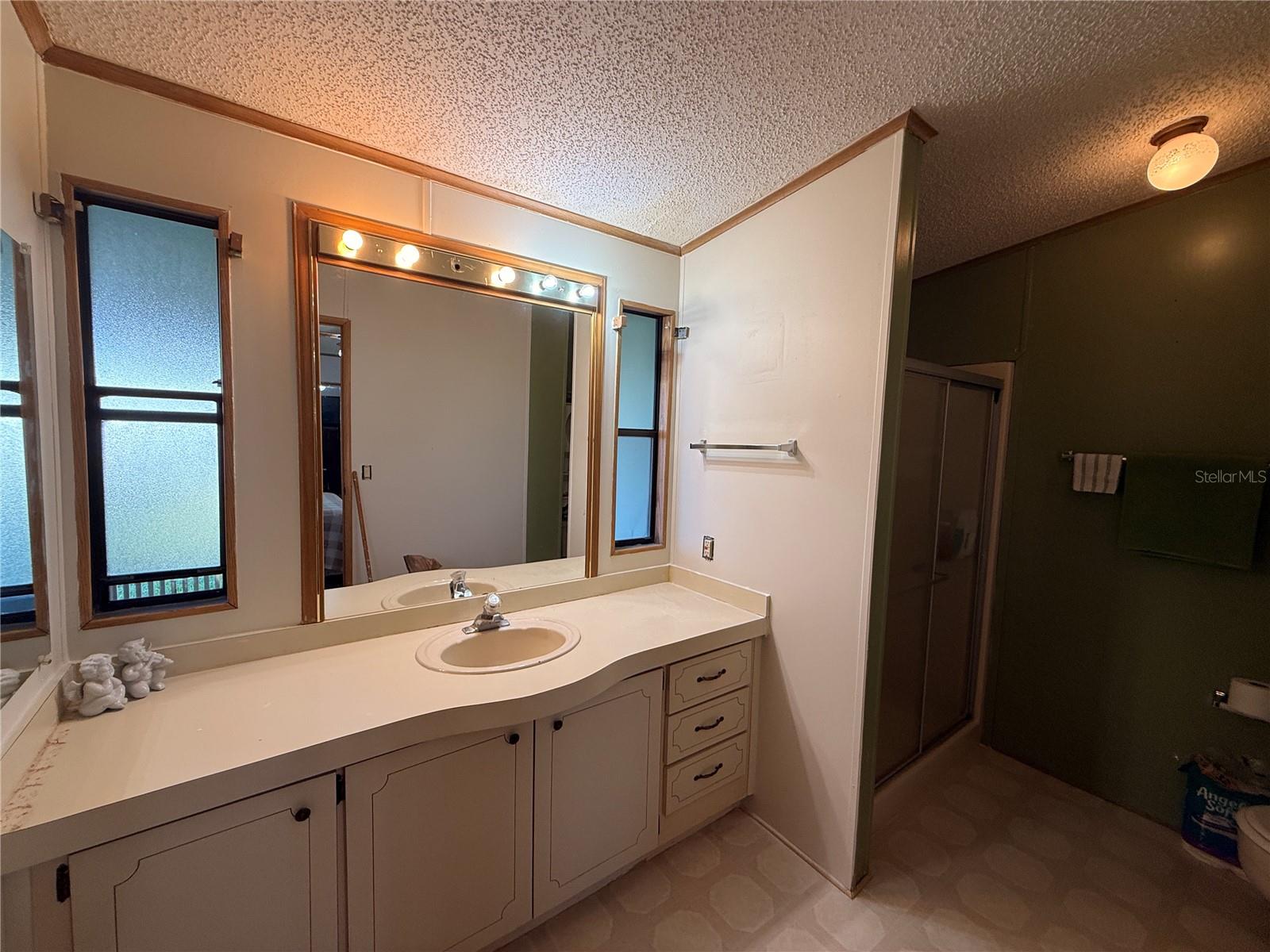 3141 GREAT OAK ST, WESLEY CHAPEL, FL, 33543