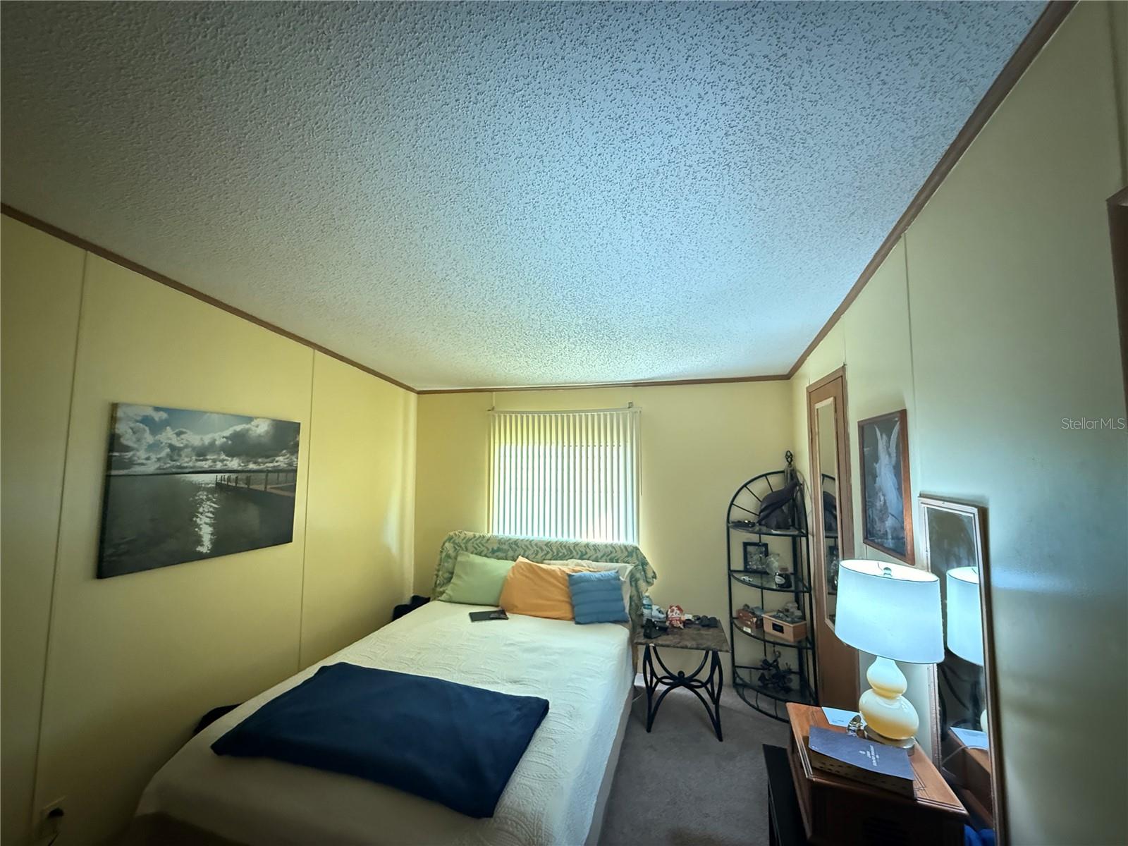 3141 GREAT OAK ST, WESLEY CHAPEL, FL, 33543