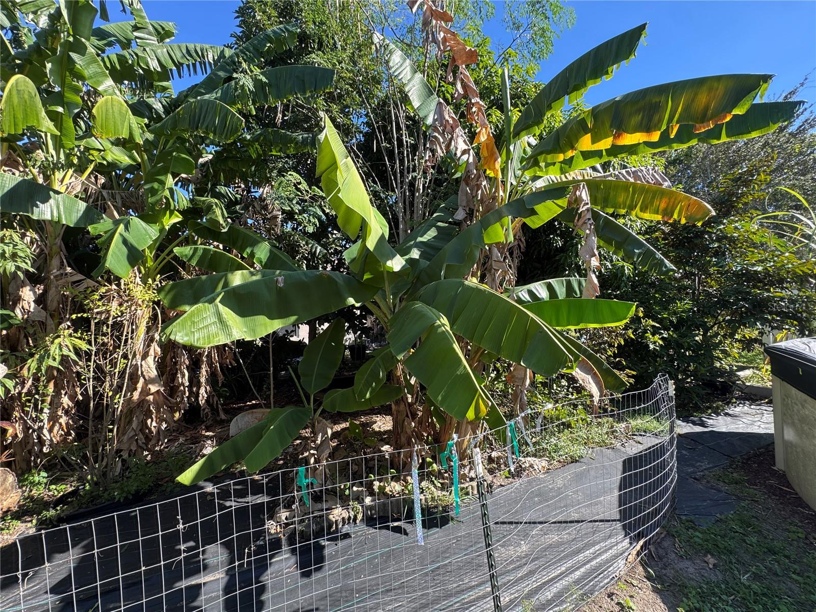 627 WOODLAND CREEK BLVD, KISSIMMEE, FL, 34744