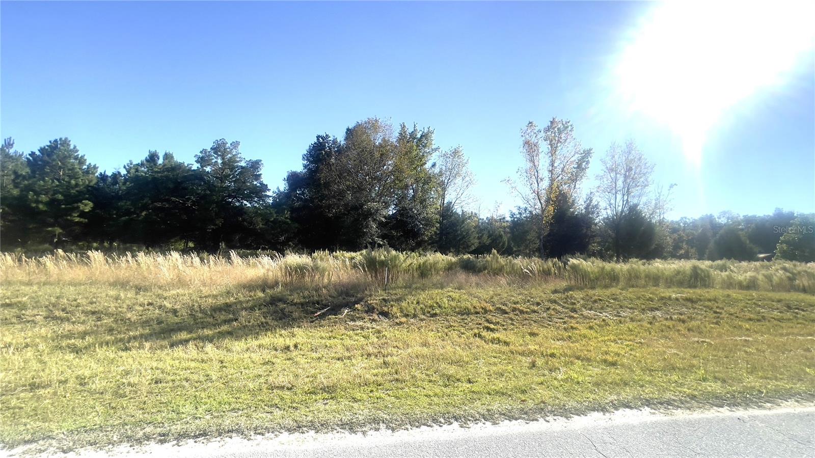 Lot 46 NW 73RD ST, CHIEFLAND, FL, 32626