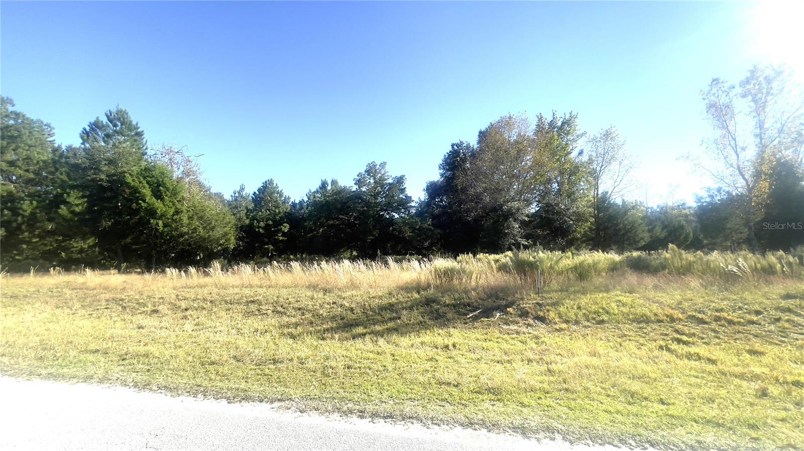 Lot 46 NW 73RD ST, CHIEFLAND, FL, 32626