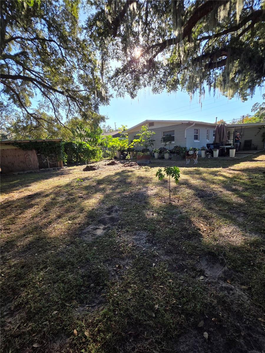 804 S LONE OAK DR, LEESBURG, FL, 34748