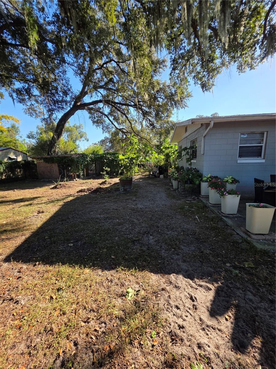 804 S LONE OAK DR, LEESBURG, FL, 34748