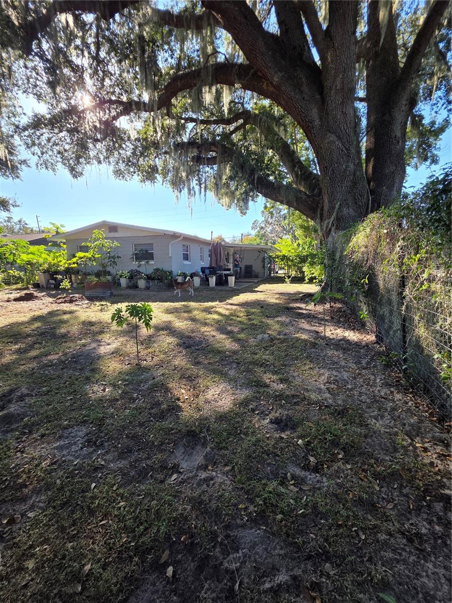 804 S LONE OAK DR, LEESBURG, FL, 34748