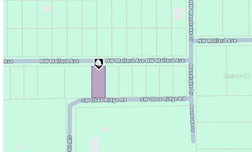 LOT 27 NW MALLARD AVE, DUNNELLON, FL, 34431