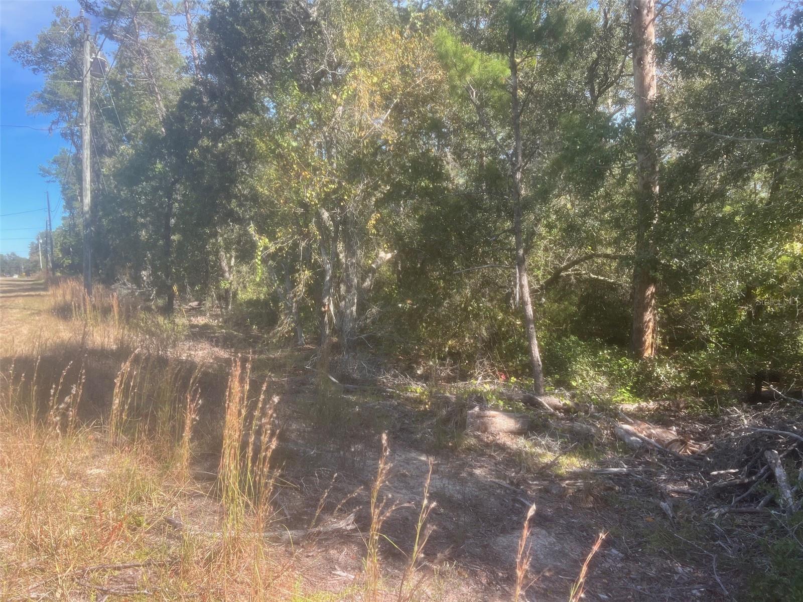 BAY RD, OCKLAWAHA, FL, 32179