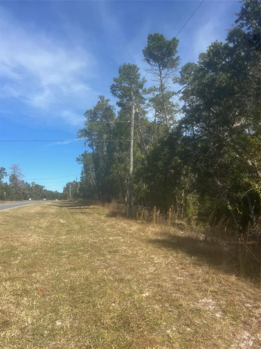 BAY RD, OCKLAWAHA, FL, 32179