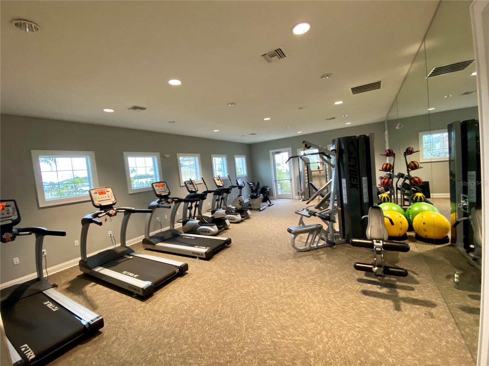 3836 CAT MINT ST, TAMPA, FL, 33619