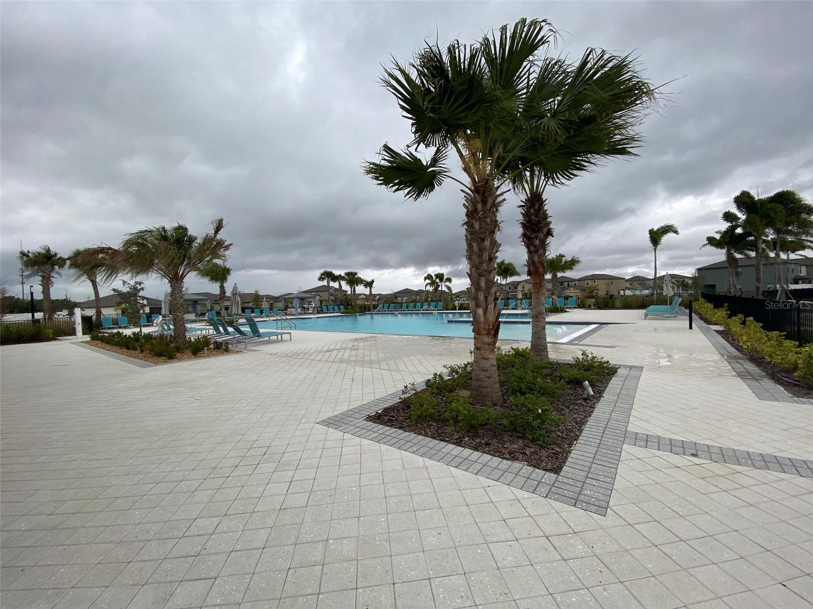 3836 CAT MINT ST, TAMPA, FL, 33619