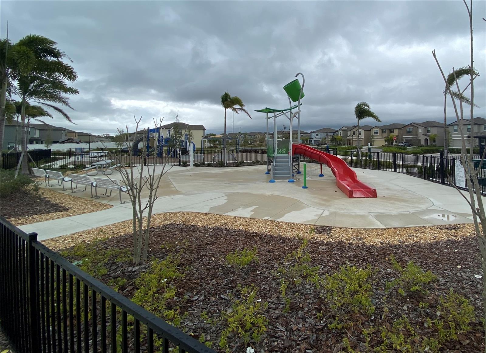 3836 CAT MINT ST, TAMPA, FL, 33619