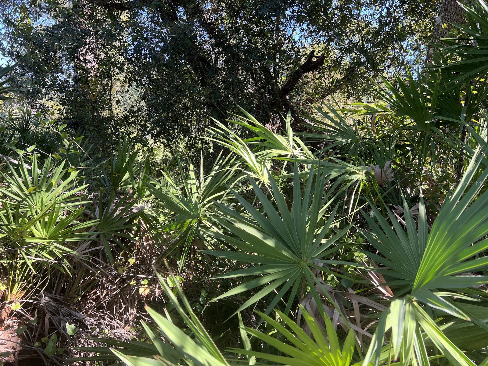 DE LEON DR, NORTH PORT, FL, 34287