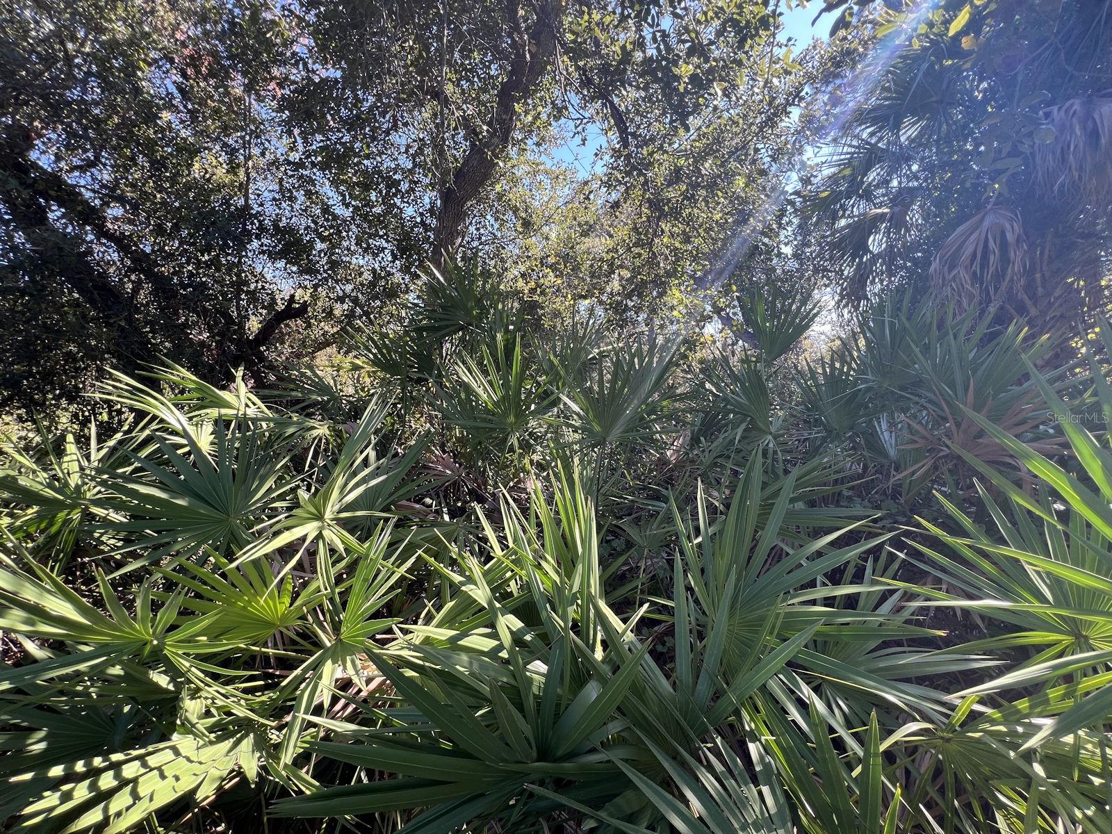 DE LEON DR, NORTH PORT, FL, 34287