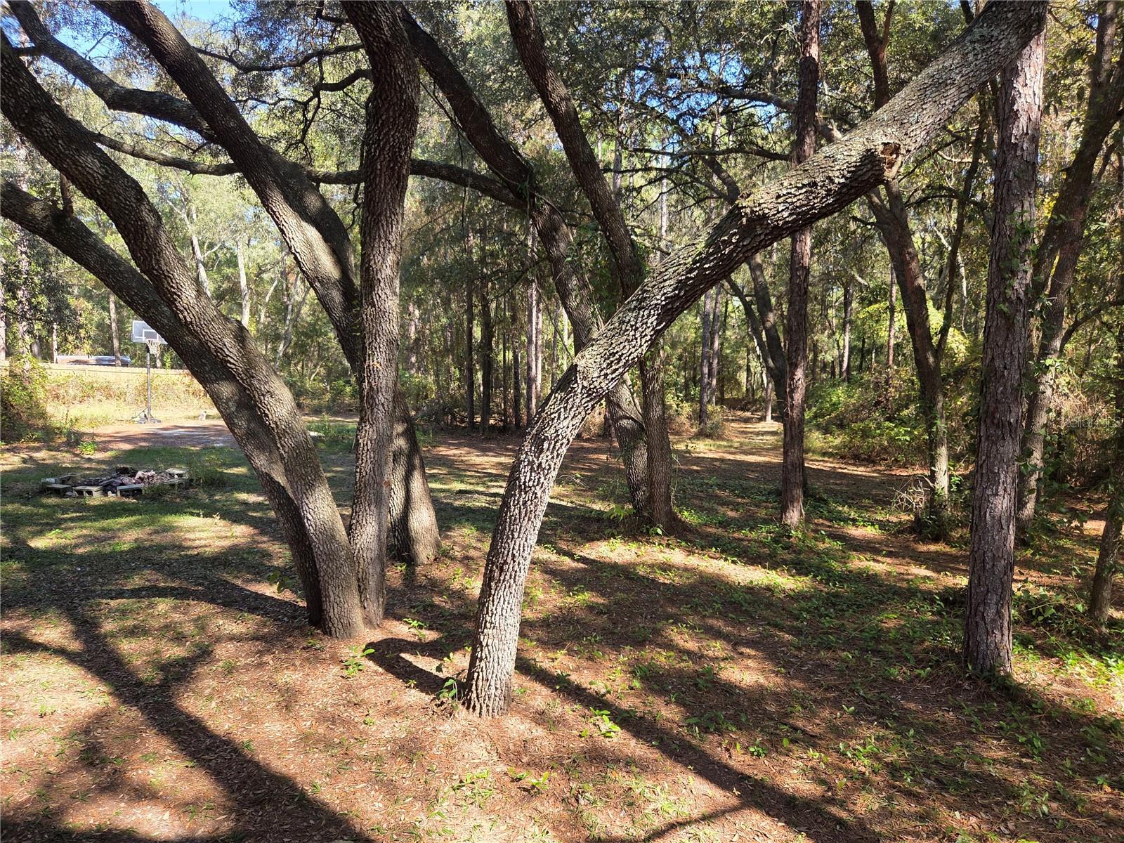 118 LEMON ST, MELROSE, FL, 32666