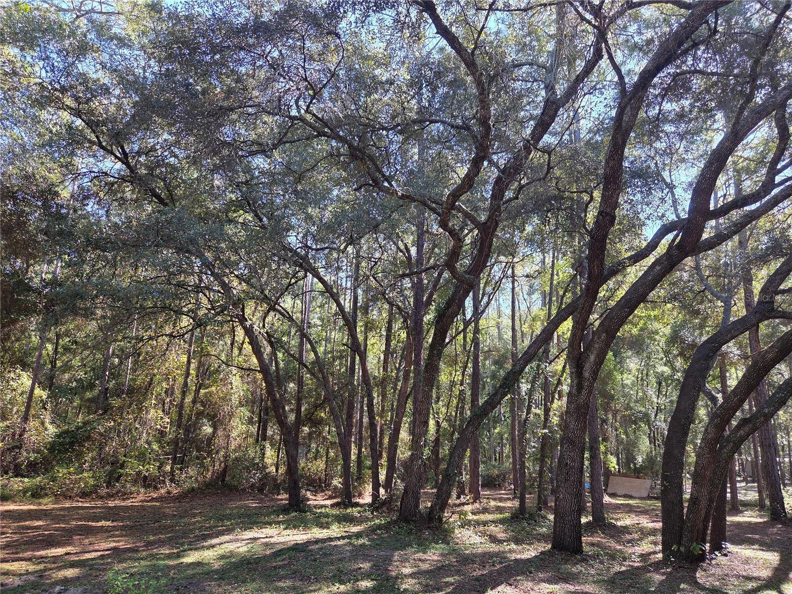 118 LEMON ST, MELROSE, FL, 32666