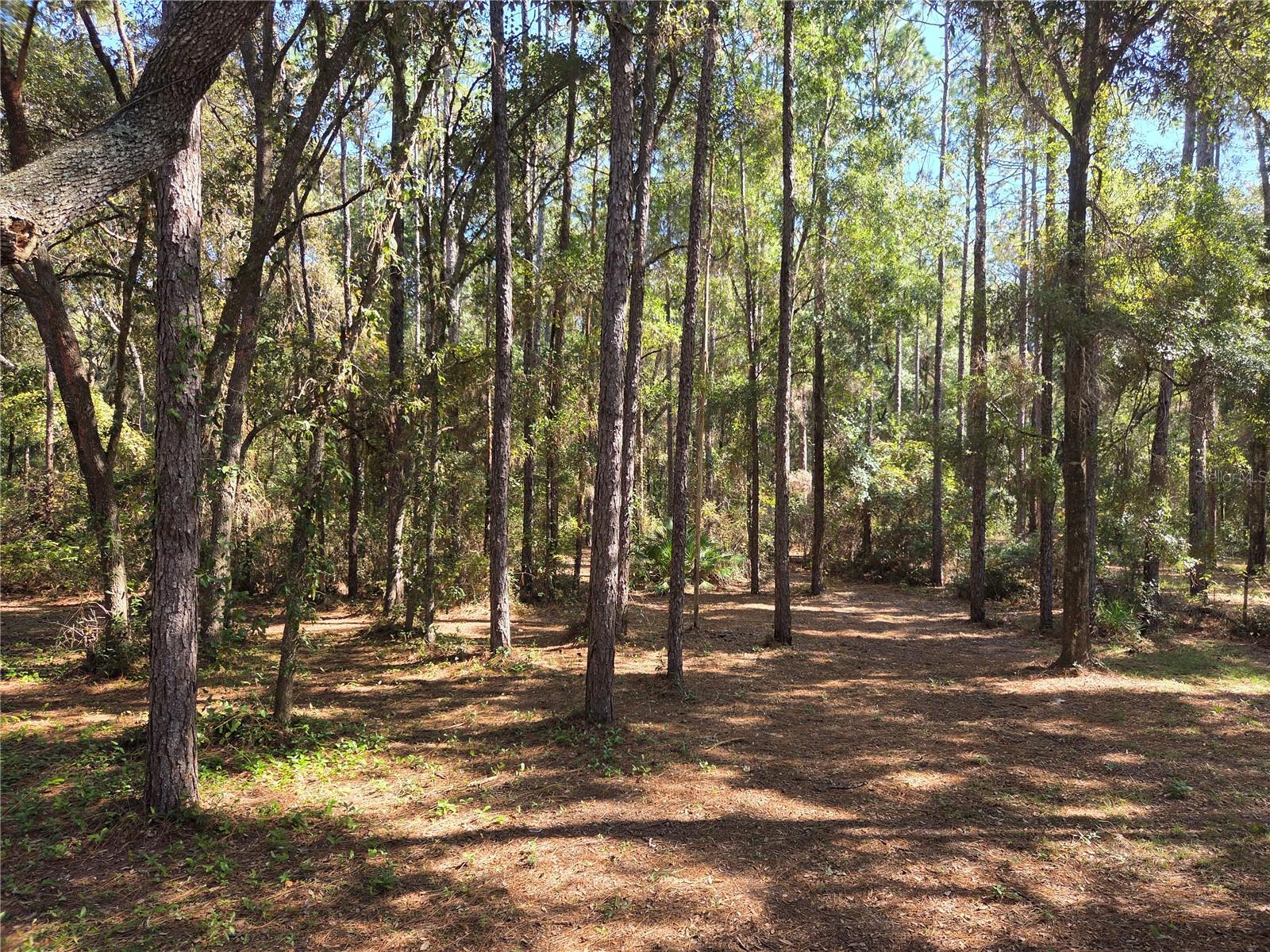 118 LEMON ST, MELROSE, FL, 32666