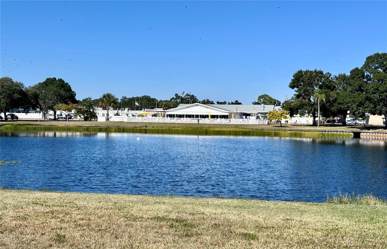 5970 21ST ST N #3, ST PETERSBURG, FL, 33714