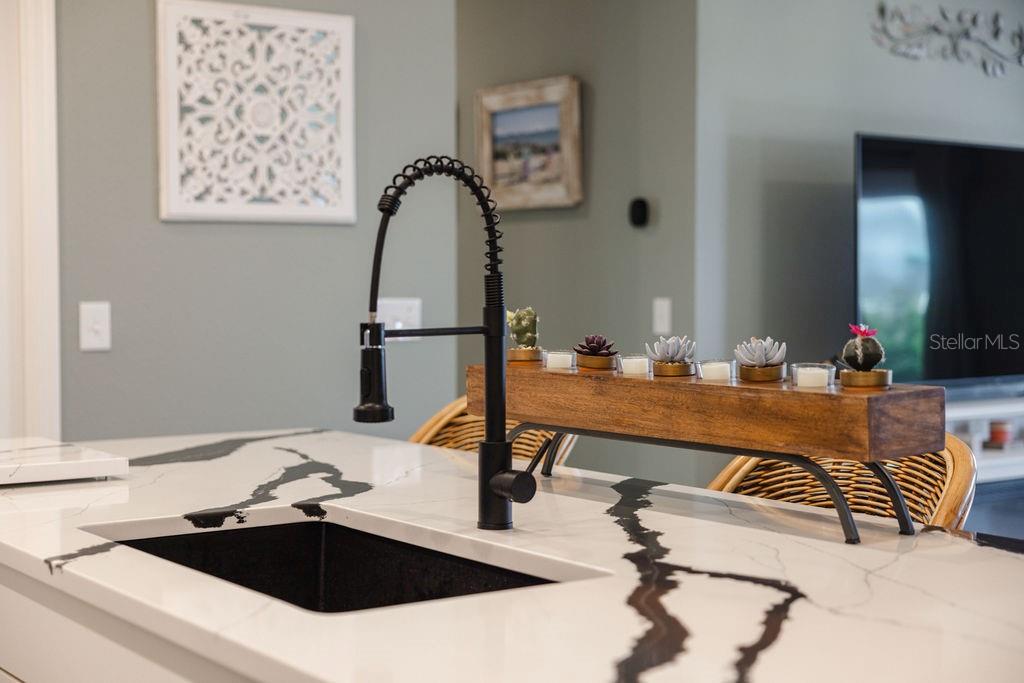 1794 BRODY CT, THE VILLAGES, FL, 34762