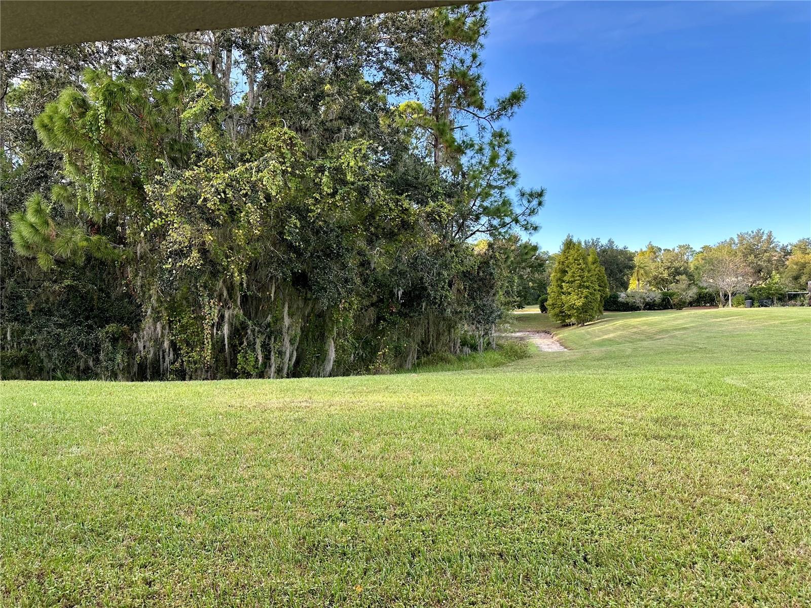 9908 SPICE BUSH CT, TAMPA, FL, 33647