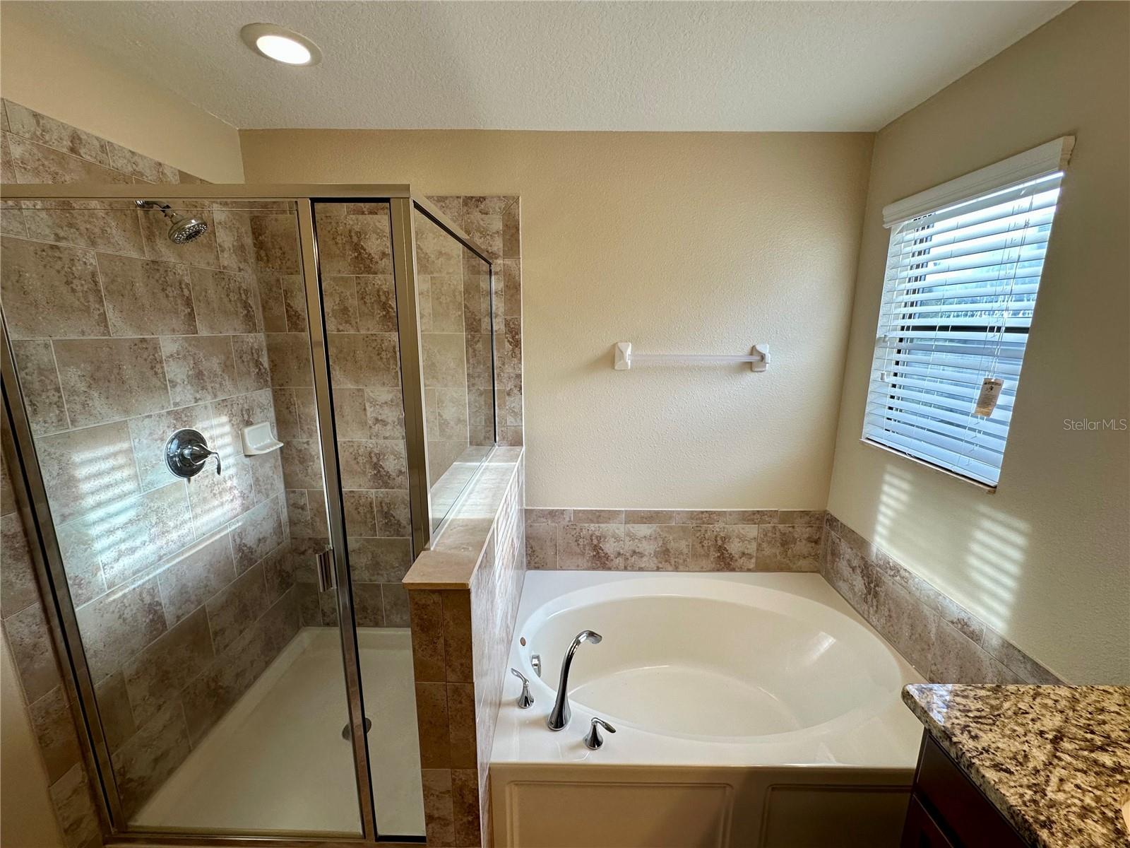 9908 SPICE BUSH CT, TAMPA, FL, 33647