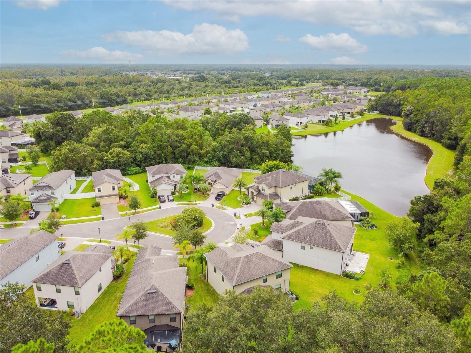 9908 SPICE BUSH CT, TAMPA, FL, 33647