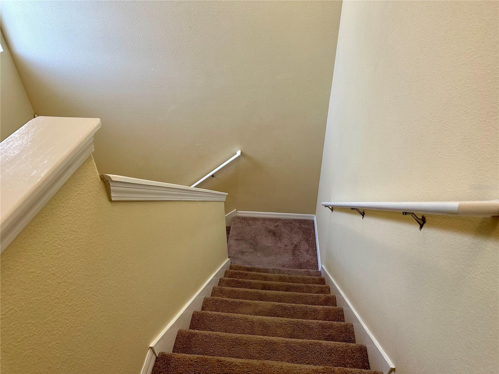 9908 SPICE BUSH CT, TAMPA, FL, 33647