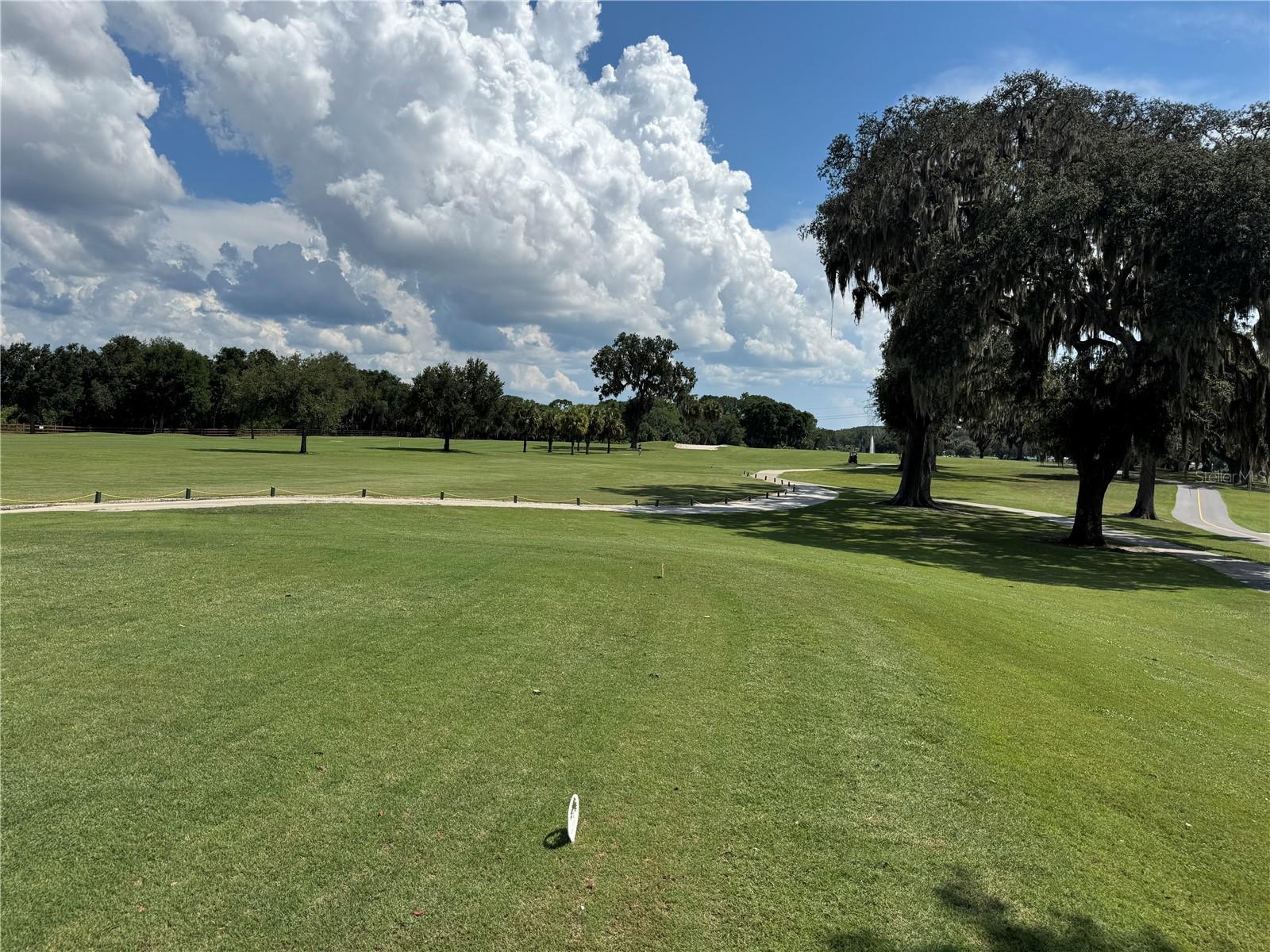 82 N BOBWHITE RD, WILDWOOD, FL, 34785