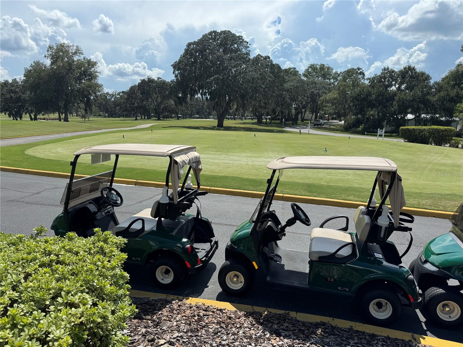 82 N BOBWHITE RD, WILDWOOD, FL, 34785