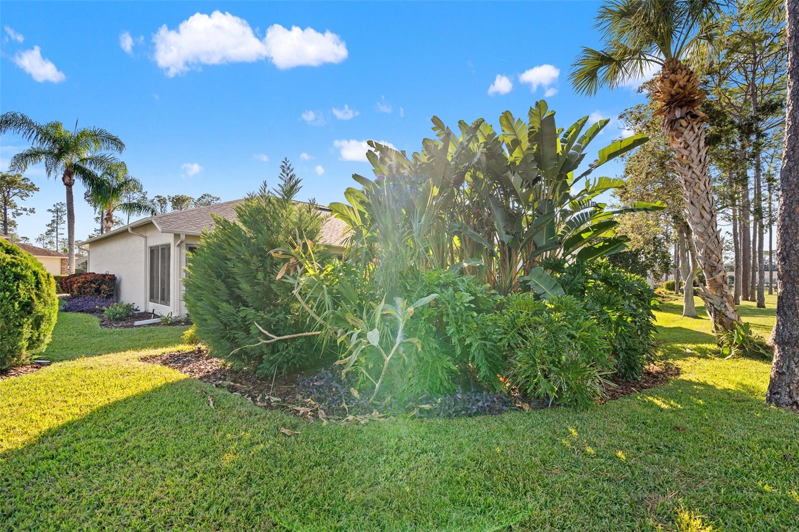 18715 DOVE HOLLOW CT, HUDSON, FL, 34667