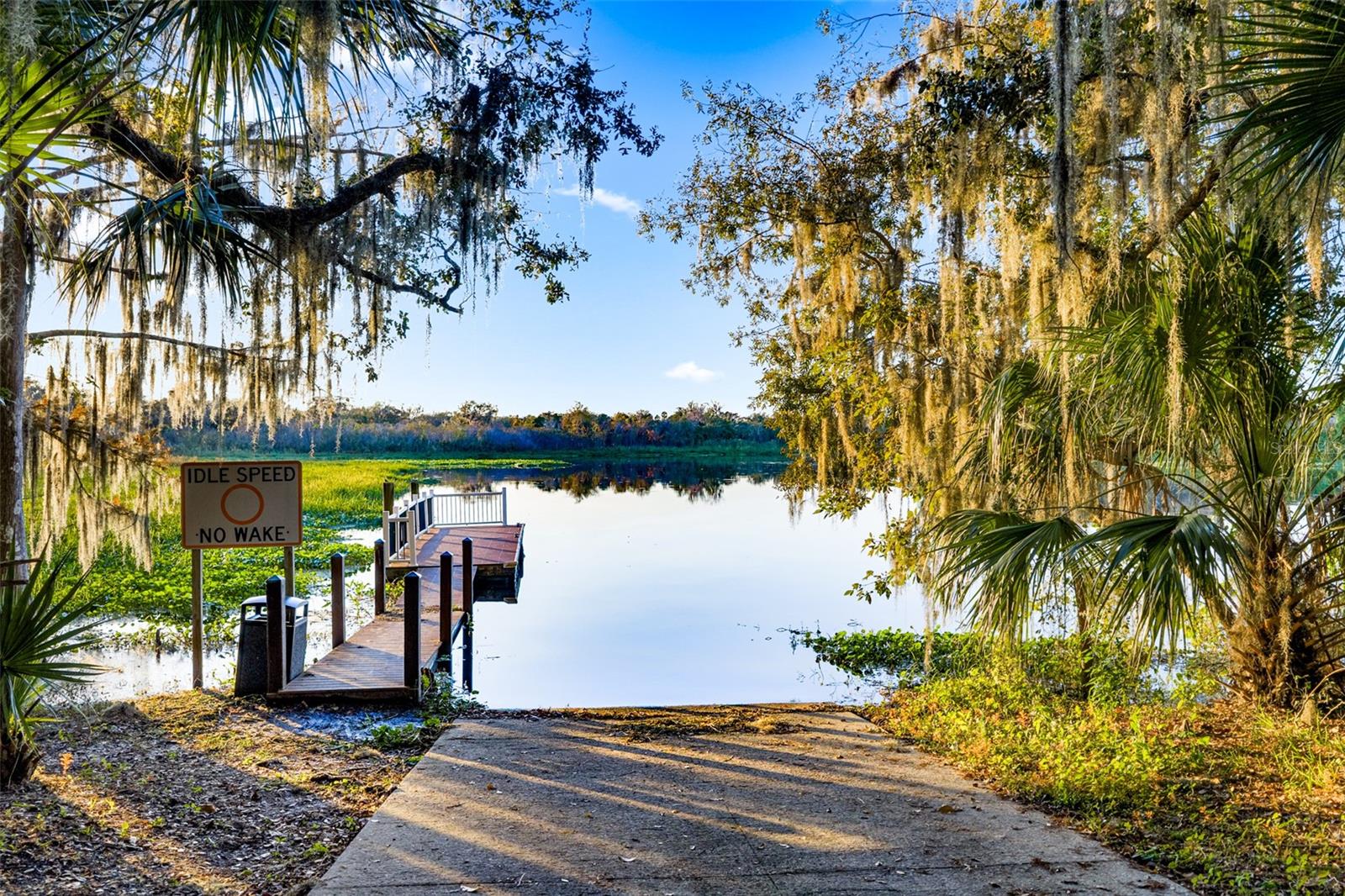 118 VERDE WAY, DEBARY, FL, 32713