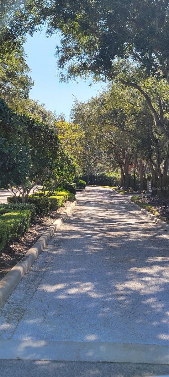 BROOKSIDE, WESLEY CHAPEL, FL, 33543