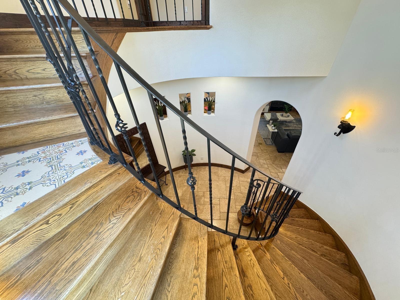 4119 WOODACRE LN, TAMPA, FL, 33624