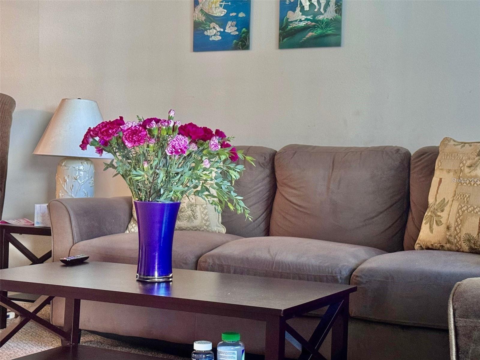 5217 81ST ST N #3, ST PETERSBURG, FL, 33709