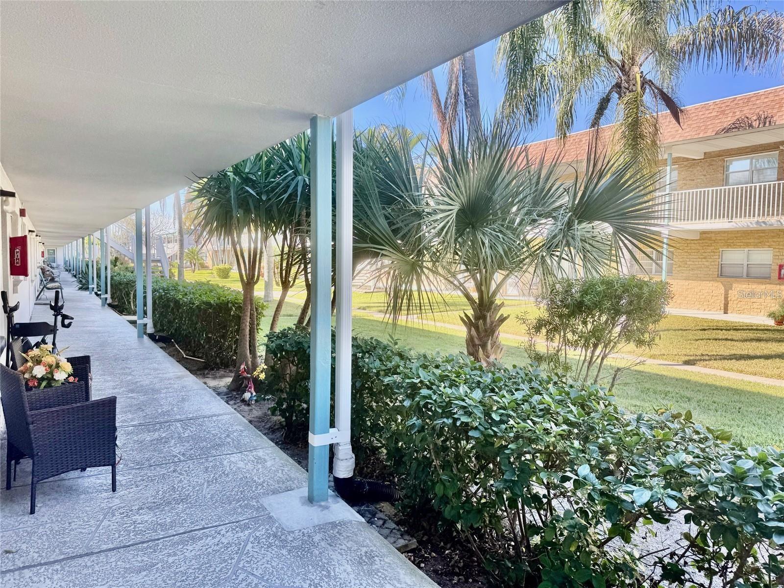 5217 81ST ST N #3, ST PETERSBURG, FL, 33709