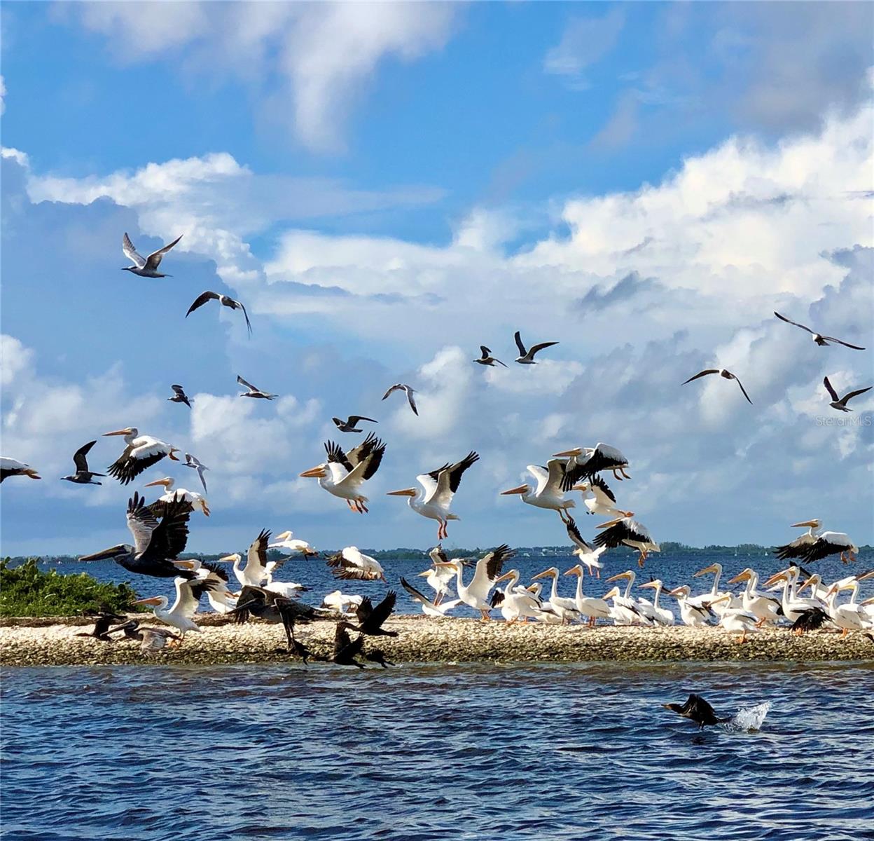 8146 LITTLE GASPARILLA IS, PLACIDA, FL, 33946