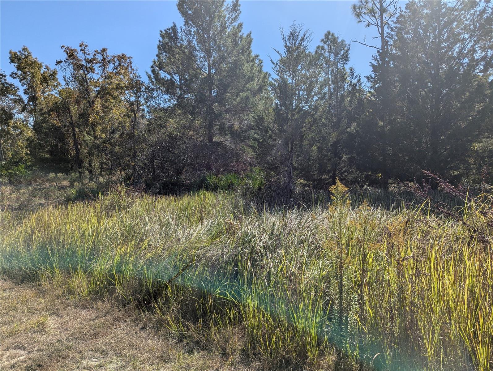 11240 FOOL DUCK AVE, WEEKI WACHEE, FL, 34613