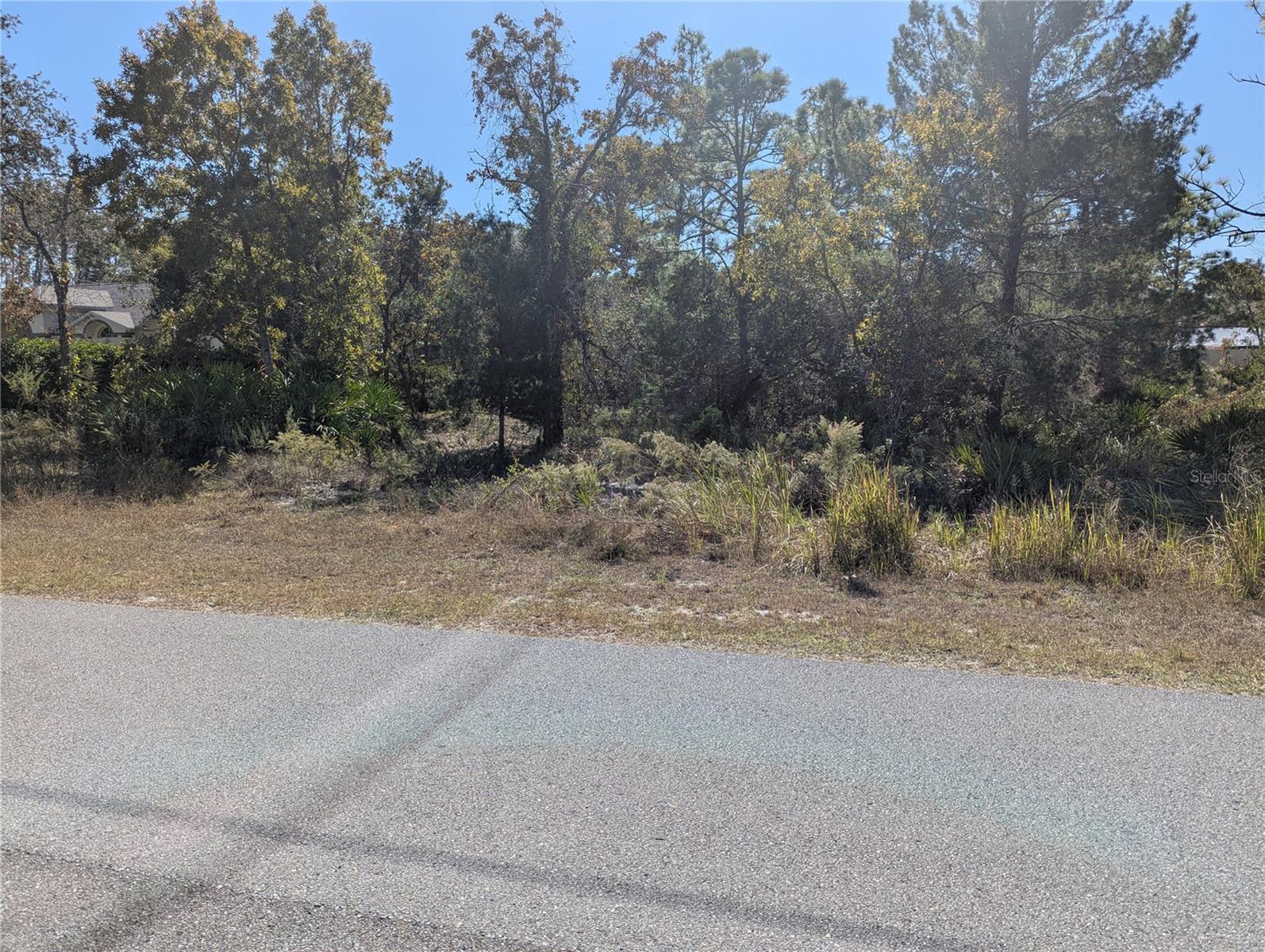 11240 FOOL DUCK AVE, WEEKI WACHEE, FL, 34613