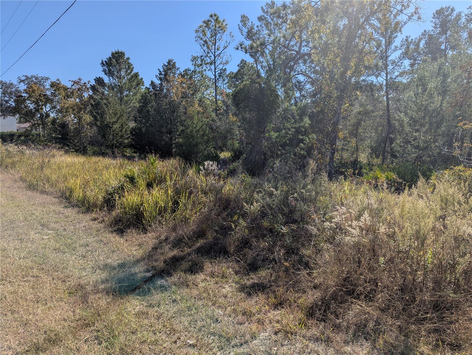 11228 FOOL DUCK AVE, WEEKI WACHEE, FL, 34613