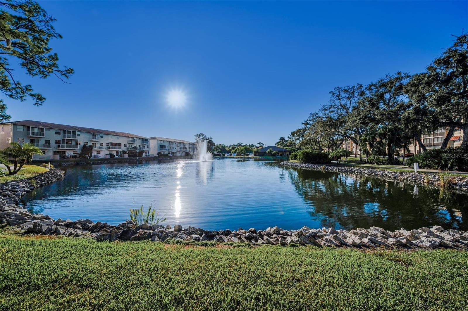 5775 PARK ST N #211, ST PETERSBURG, FL, 33709